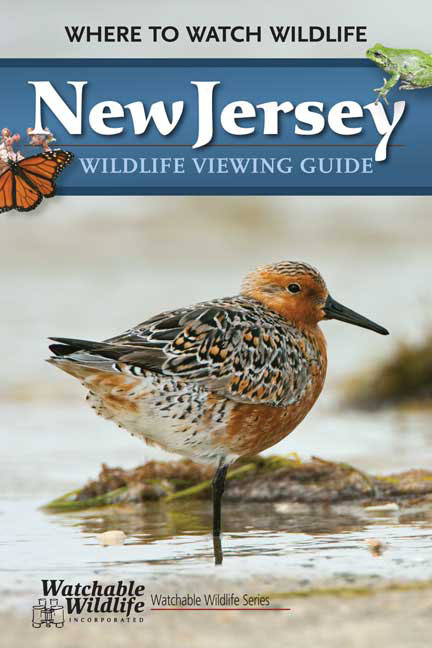 New Jersey Wildlife Viewing Guide